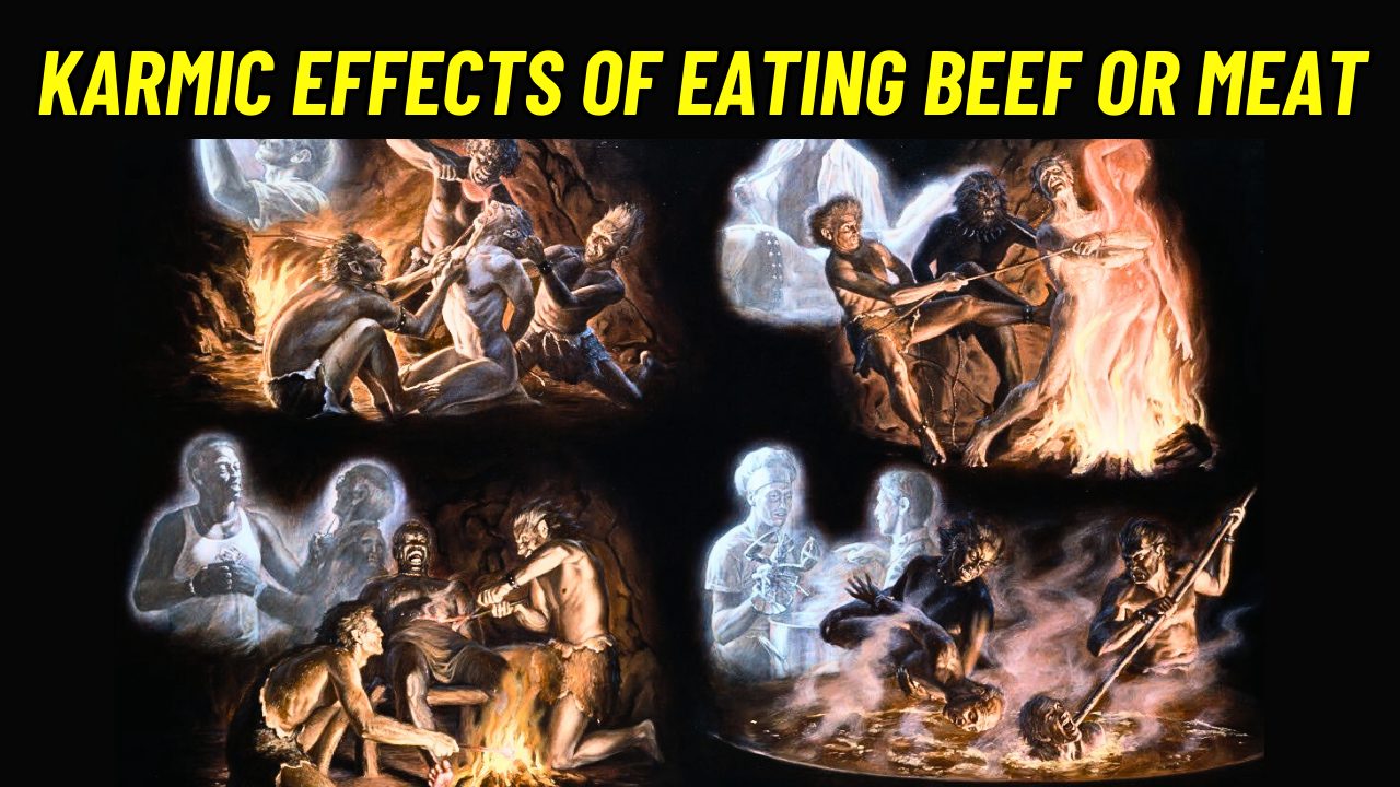 Karmic effects of eating meat
